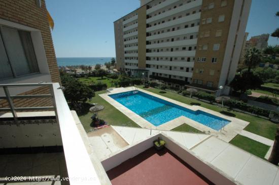 ALQUILER DE SEPTIEMBRE A JUNIO EN FUENGIROLA  1ª LÍNEA, 1 DORMITORIO. PISCINA - MALAGA