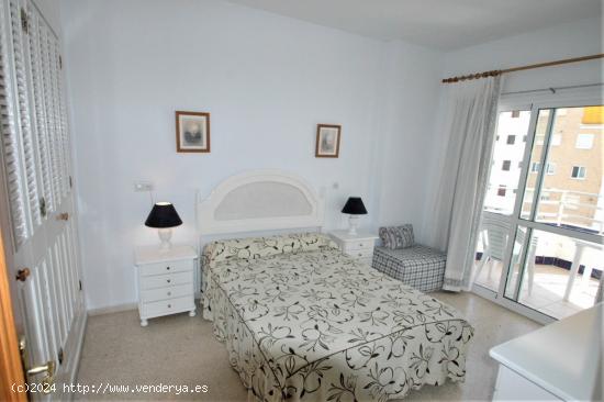 ALQUILER DE SEPTIEMBRE A JUNIO EN FUENGIROLA  1ª LÍNEA, 1 DORMITORIO. PISCINA - MALAGA