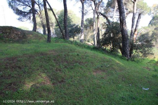 PARCELA EN CERRO MURIANO - CORDOBA