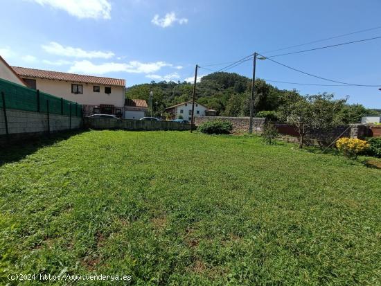 FINCA URBANA EN HOZNAYO.- - CANTABRIA