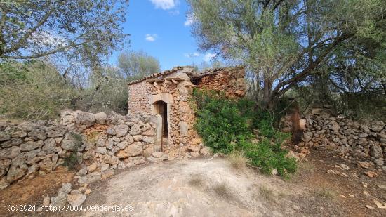 SOLAR RÚSTICO CON PROYECTO Y LICENCIA - BALEARES