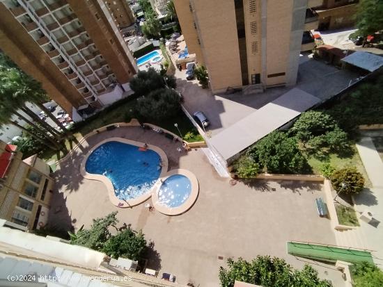 Apartamento de 2 dormitorios y 1 baño en zona de Levante. parking y piscina comunitaria. - ALICANTE