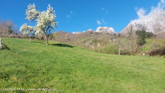 Venta de terreno rústico urbanizable en Liébana - CANTABRIA