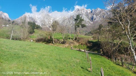 Finca urbanizable en Mogrovejo - CANTABRIA