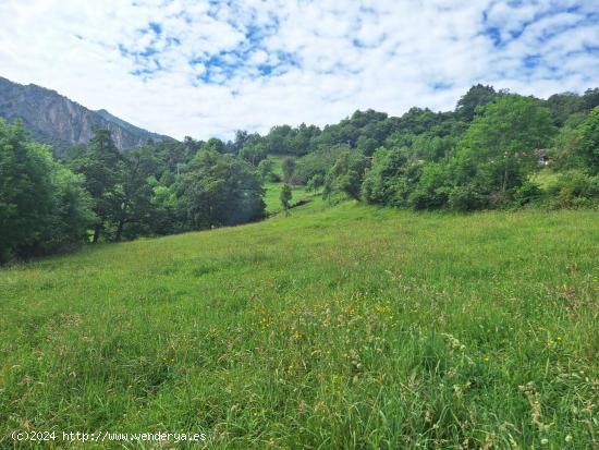 Terreno urbanizable en Camaleño - CANTABRIA