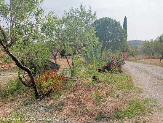 Se Alquila en Porreres - BALEARES