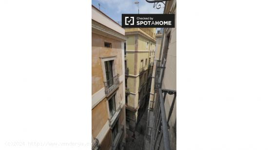 Amplia habitación en alquiler en el apartamento de 5 dormitorios en Barri Gòtic - BARCELONA