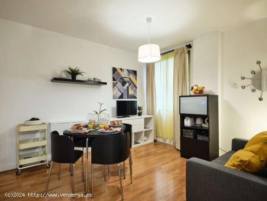 Apartamento entero de 1 habitaciones en Madrid - MADRID