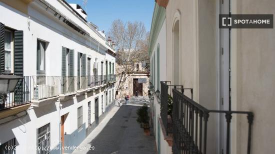 Apartamento de 1 dormitorio en alquiler en Casco Antiguo - SEVILLA