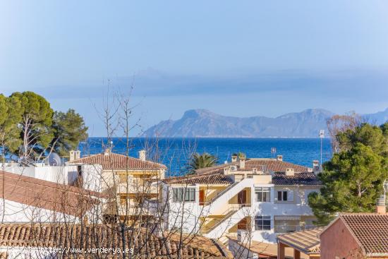 Se Alquila en Alcúdia - BALEARES