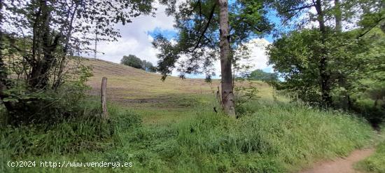 Se terreno rústico con posibilidad de construir en Cereceda (Rasines) - CANTABRIA