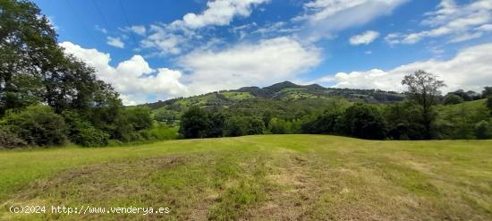 Se terreno rústico con posibilidad de construir en Cereceda (Rasines) - CANTABRIA