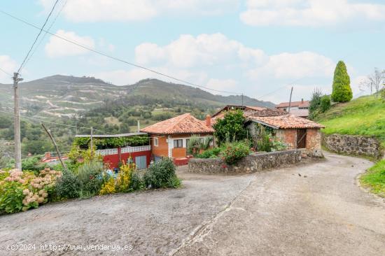 FINCA EDIFICABLE EN PILOÑA, EN UN IMPRESIONANTE PAISAJE NATURAL CON MONTAÑAS, VALLES Y RIOS - ASTU