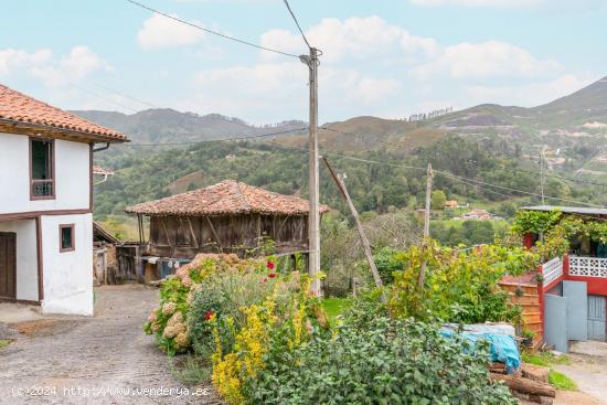 FINCA EDIFICABLE EN PILOÑA, EN UN IMPRESIONANTE PAISAJE NATURAL CON MONTAÑAS, VALLES Y RIOS - ASTU