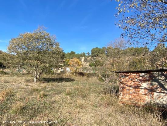 SE VENDE TERRENO DE HORTICULTURA EN SANT QUINTI DE MEDIONA - BARCELONA