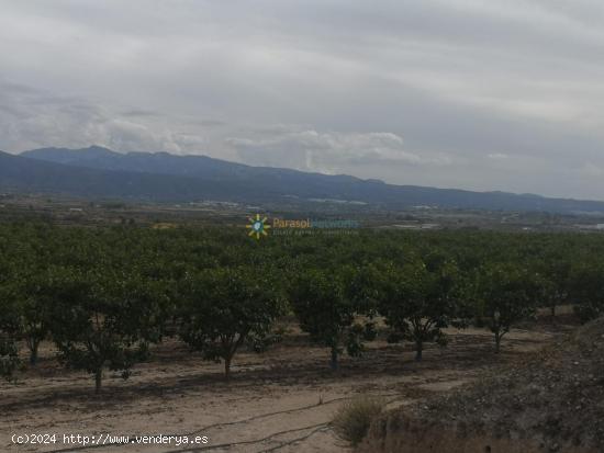 Terreno con casita a la venta en Beniganim - VALENCIA