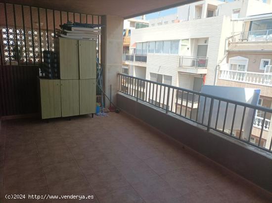 Apartamento junto a la playa de Guardamar del Segura, Alicante, Costa Blanca - ALICANTE