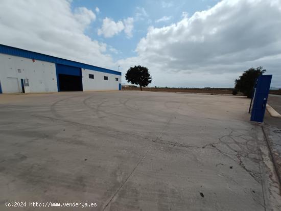 ALQUILER NAVE INDUSTRIAL CON OFICINAS EN LA PALMA - MURCIA