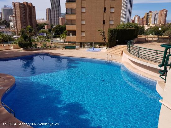  SE VENDE PISO EN COBLANCA 30 ESQUINA - ALICANTE 