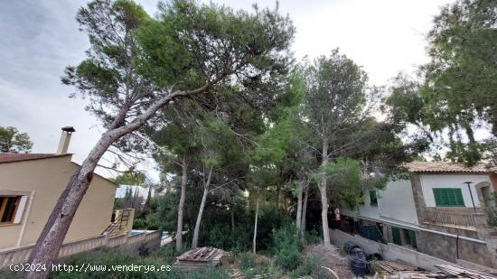 TERRENO EDIFICABLE PARA CONSTRUIR UN FANTASTICO CHALET UNIFAMILIAR CON PISCINA. - BALEARES