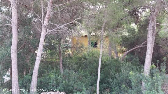 TERRENO EDIFICABLE PARA CONSTRUIR UN FANTASTICO CHALET UNIFAMILIAR CON PISCINA. - BALEARES