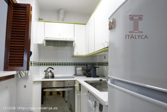 Estupendo apartamento en Plaza de la Encarnación - SEVILLA