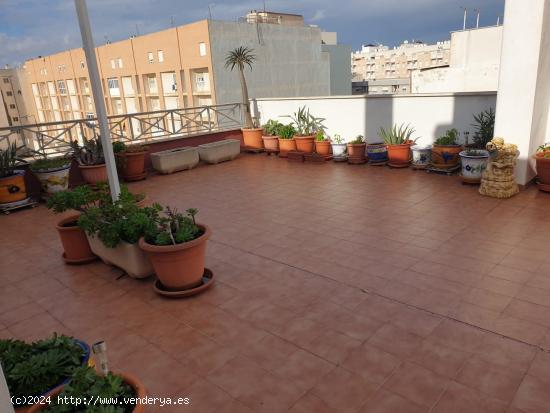 Ático en el centro de Torrevieja con terraza privada de 135m2 - ALICANTE