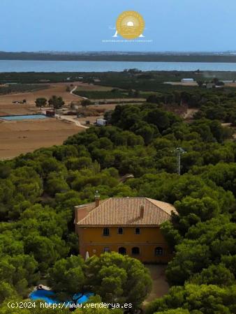 Se Vende en Ciudad quesada - ALICANTE