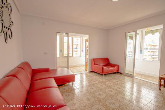 APARTAMENTO DE 3 DORMITORIOS 2 BAÑOS A 200 METROS DE LA PLAYA EN TORREVIEJA ( ACEQUION) ALICANTE - 