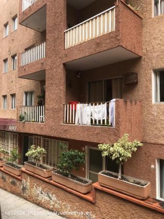  Amplio Apartamento para Reformar en el Centro de Los Realejos - SANTA CRUZ DE TENERIFE 