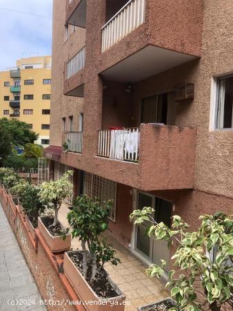 Amplio Apartamento para Reformar en el Centro de Los Realejos - SANTA CRUZ DE TENERIFE