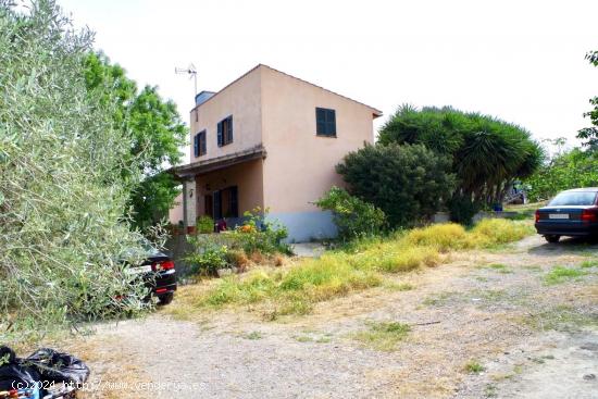 CASA RUSTICA CON TERRENO EN SINEU - TU NUEVA OASI DE PAZ - BALEARES