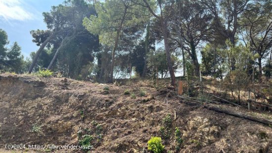 Excelente oportunidad de terreno en Santa Cristina, Blanes