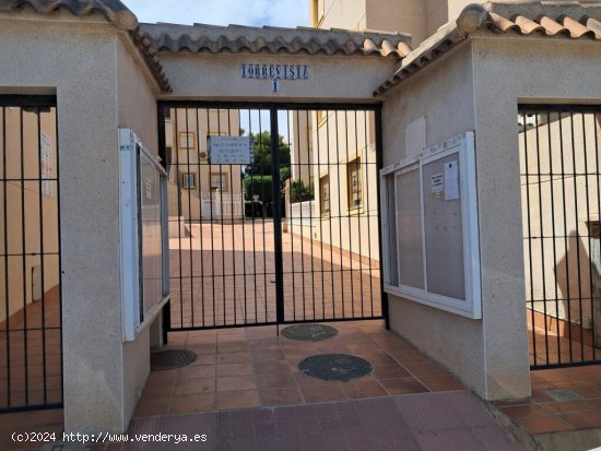 Piso en Venta en Torrelamata Alicante