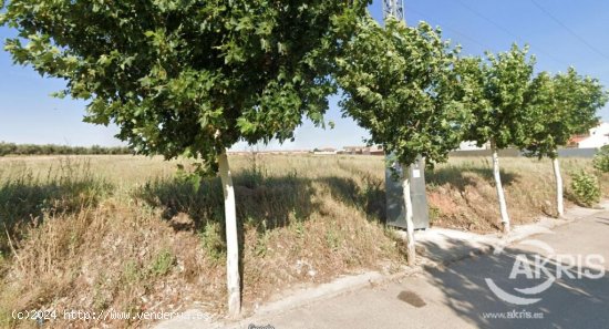 Finca Rústica en Chozas de Canales