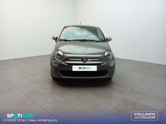 Fiat 500   1.0 Hybrid 51KW (70 CV) Dolcevita - Zaragoza