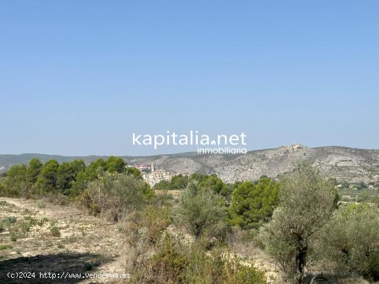 PARCELA A LA VENTA EN BOCAIRENT - VALENCIA