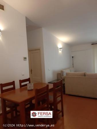 PRECIOSO APARTAMENTO EN EL CENTRO EN ALQUILER ANUAL - CADIZ