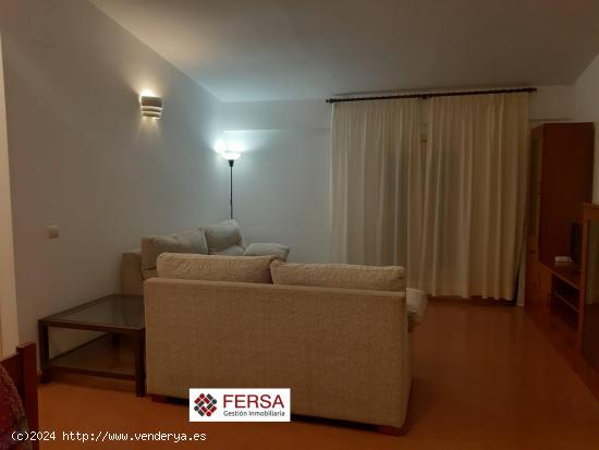 PRECIOSO APARTAMENTO EN EL CENTRO EN ALQUILER ANUAL - CADIZ