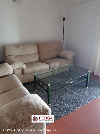 PRECIOSO APARTAMENTO EN EL CENTRO EN ALQUILER ANUAL - CADIZ