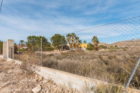 Parcela en Paraje Alto Abanilla para construir vivenda - MURCIA