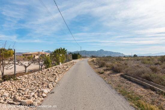 Parcela en Paraje Alto Abanilla para construir vivenda - MURCIA