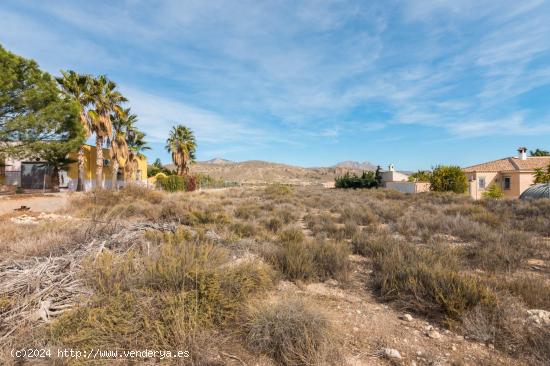 Parcela en Paraje Alto Abanilla para construir vivenda - MURCIA