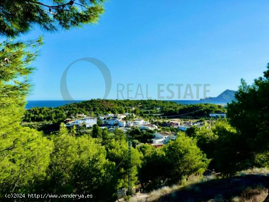 GRAN PARCELA CON VISTAS EN ALTEA - ALICANTE