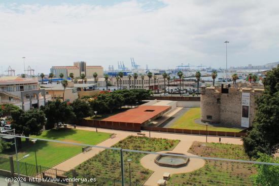 Se Alquila en Las Palmas de Gran Canaria - LAS PALMAS