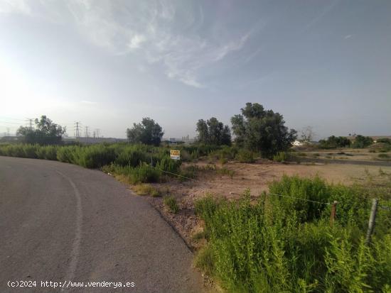 Parcela rustica-industrial zona del Mayayo en El Palmar. - MURCIA