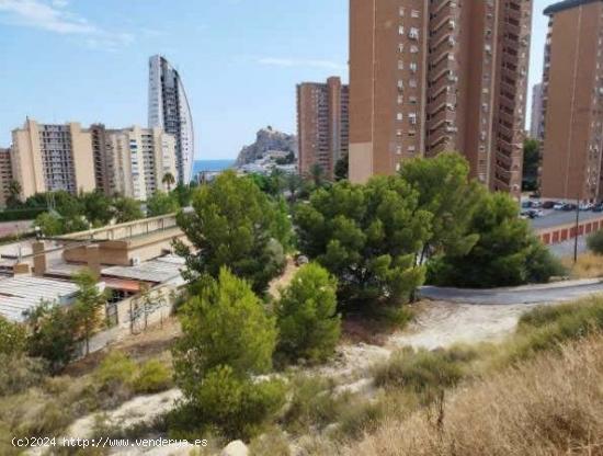  TERRENO URBANO EN BENIDORM - ALICANTE 