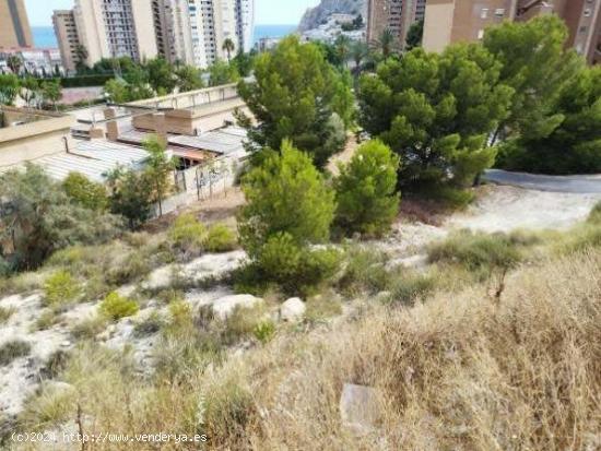 TERRENO URBANO EN BENIDORM - ALICANTE