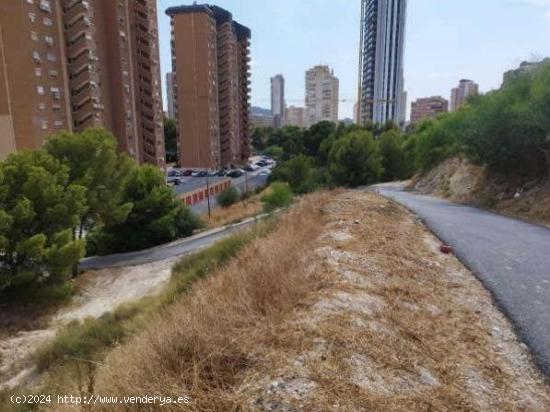 TERRENO URBANO EN BENIDORM - ALICANTE