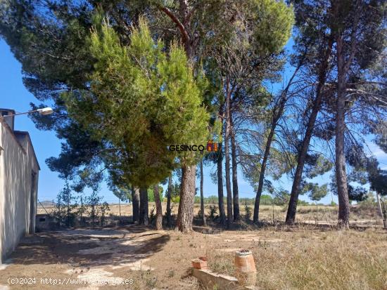 CASA DE CAMPO EN VENTA ENTRE LAS POBLACIONES DE OLLERIA Y AIELO DE MALFERIT - VALENCIA